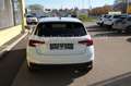 Skoda Fabia 1.0 TSI 130 Jahre *5J.Garantie*Kamera*SHZ* Weiß - thumbnail 6