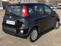 Fiat Panda MY24 1.0 Klima PDC Citypaket Schwarz - thumbnail 3