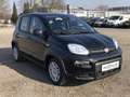 Fiat Panda MY24 1.0 Klima PDC Citypaket Schwarz - thumbnail 2