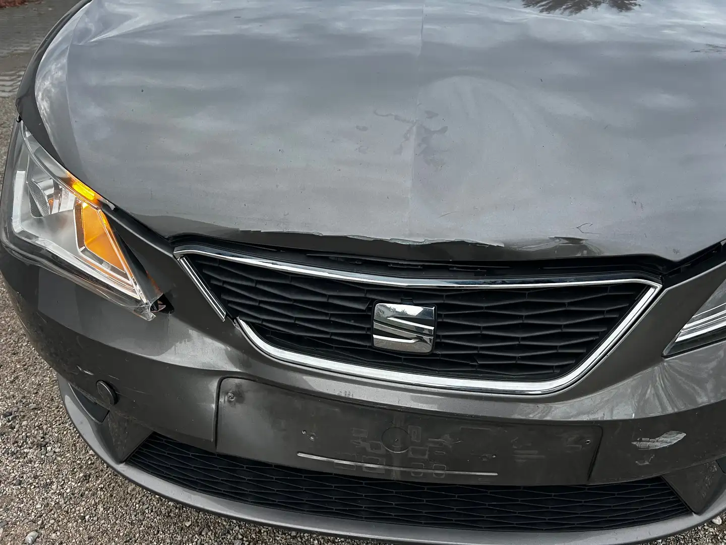 SEAT Ibiza ST Grau - 2