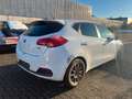 Kia Ceed Edition 7,Klima ,Euro5 Weiß - thumbnail 4