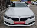 BMW 420 420 i xDrive Coupé F32 Allrad Automatik Weiß - thumbnail 30