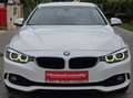BMW 420 420 i xDrive Coupé F32 Allrad Automatik Weiß - thumbnail 2
