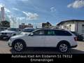 Skoda Octavia Combi Scout 4x4 DSG Wit - thumbnail 9