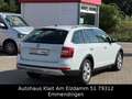 Skoda Octavia Combi Scout 4x4 DSG Wit - thumbnail 6