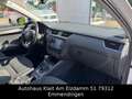 Skoda Octavia Combi Scout 4x4 DSG Wit - thumbnail 15