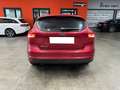 Ford Focus 1.6TDCi Edition 115 Rojo - thumbnail 7