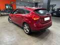 Ford Focus 1.6TDCi Edition 115 Rojo - thumbnail 5