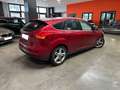 Ford Focus 1.6TDCi Edition 115 Rojo - thumbnail 6
