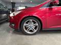 Ford Focus 1.6TDCi Edition 115 Rojo - thumbnail 27