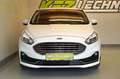 Ford S-Max 2,0 EcoBl. Aut ''Titanium'' NAVI*ACC*LED*R-KAM Weiß - thumbnail 9