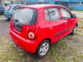 Kia Picanto 1.1 Cool Klimaanlage Tüv 7/2024 Rot - thumbnail 4