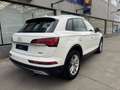 Audi Q5 50 TFSIe Advanced quattro-ultra S tronic Blanco - thumbnail 10