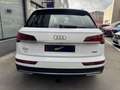 Audi Q5 50 TFSIe Advanced quattro-ultra S tronic Blanco - thumbnail 11