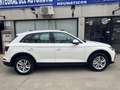 Audi Q5 50 TFSIe Advanced quattro-ultra S tronic Blanco - thumbnail 8