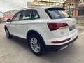 Audi Q5 50 TFSIe Advanced quattro-ultra S tronic Blanco - thumbnail 17