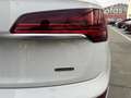 Audi Q5 50 TFSIe Advanced quattro-ultra S tronic Blanco - thumbnail 12