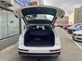 Audi Q5 50 TFSIe Advanced quattro-ultra S tronic Blanco - thumbnail 14