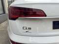 Audi Q5 50 TFSIe Advanced quattro-ultra S tronic Blanco - thumbnail 13