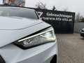 CUPRA Formentor 1,5 TSI DSG | ACC*RFK*NAVI Weiß - thumbnail 37