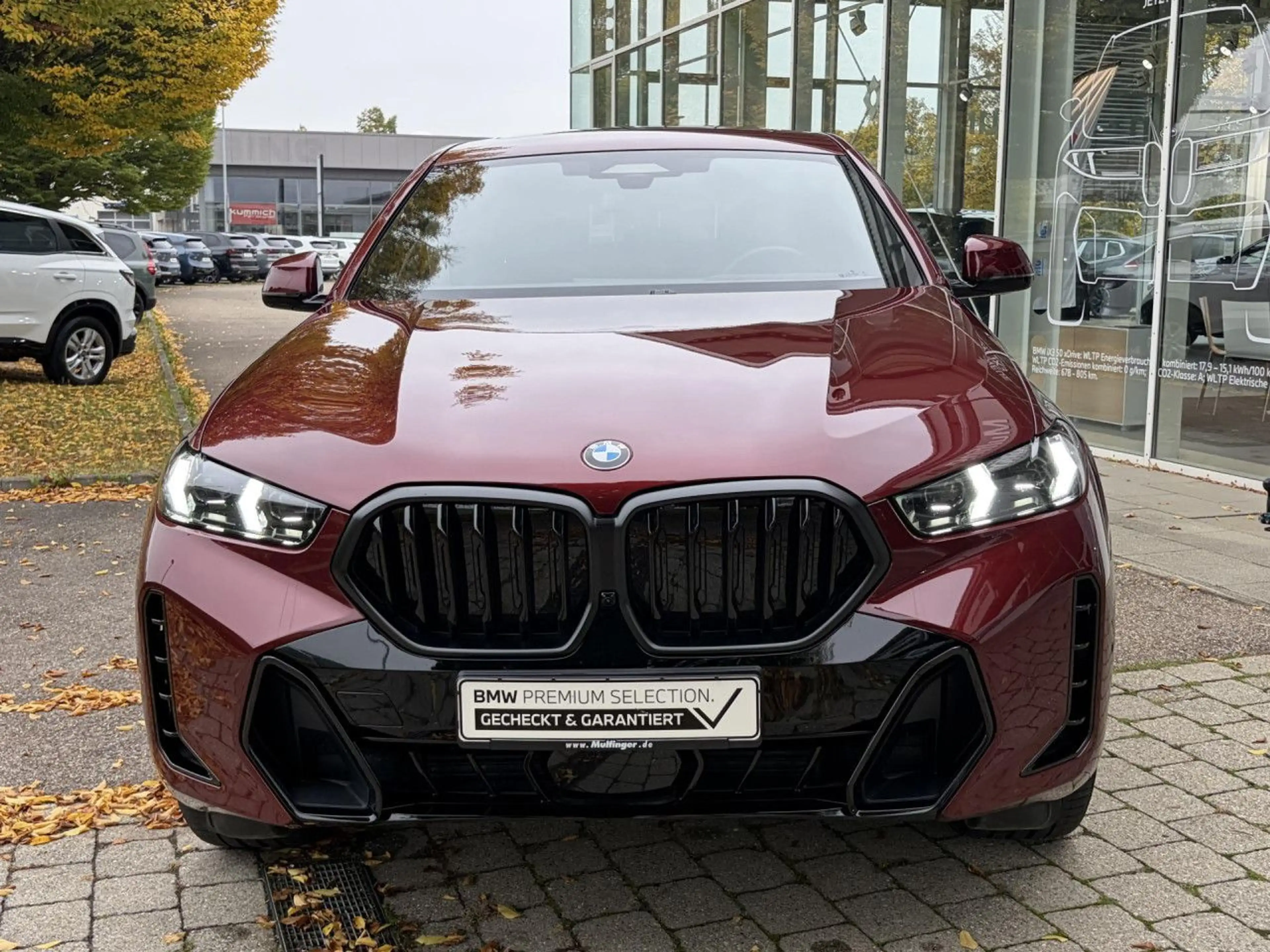 BMW X6 x40i M Sport Pro AutoBahn.Standh.Massage AHK — photo 4