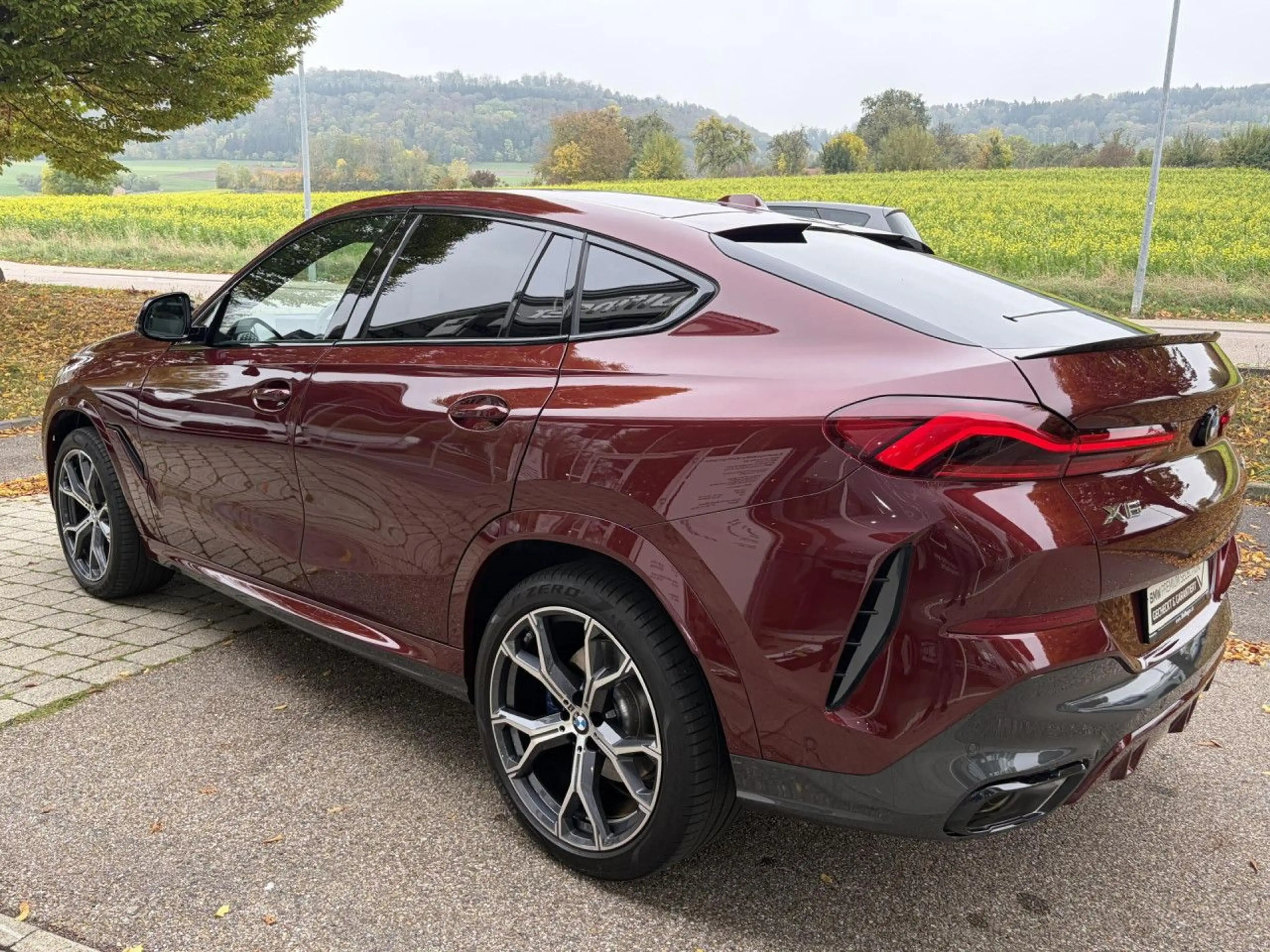 BMW X6 x40i M Sport Pro AutoBahn.Standh.Massage AHK — photo 8