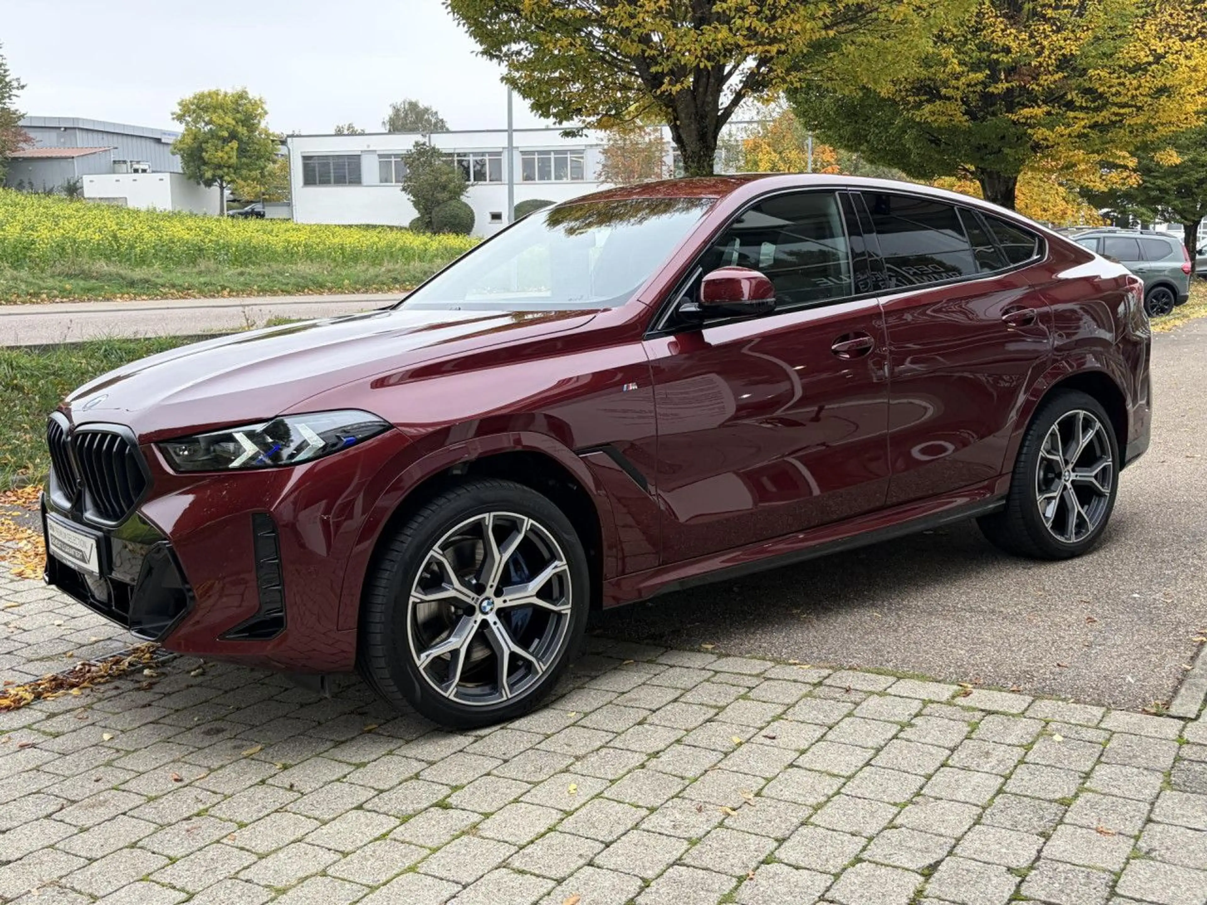 BMW X6 x40i M Sport Pro AutoBahn.Standh.Massage AHK — photo 3