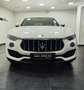 Maserati Levante Levante V6 Diesel 275 CV AWD CERTIFICATA Bianco - thumbnail 3