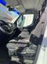 Iveco Daily Bianco - thumbnail 4
