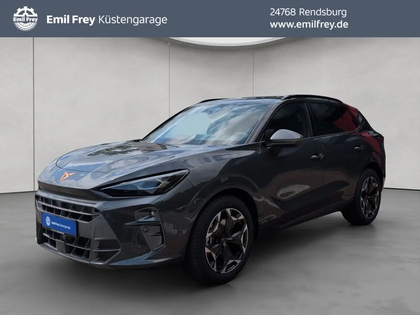 CUPRA Terramar 2.0 TSI 150 kW (204 PS) 7-Gang DSG 4Dri Grau - 1