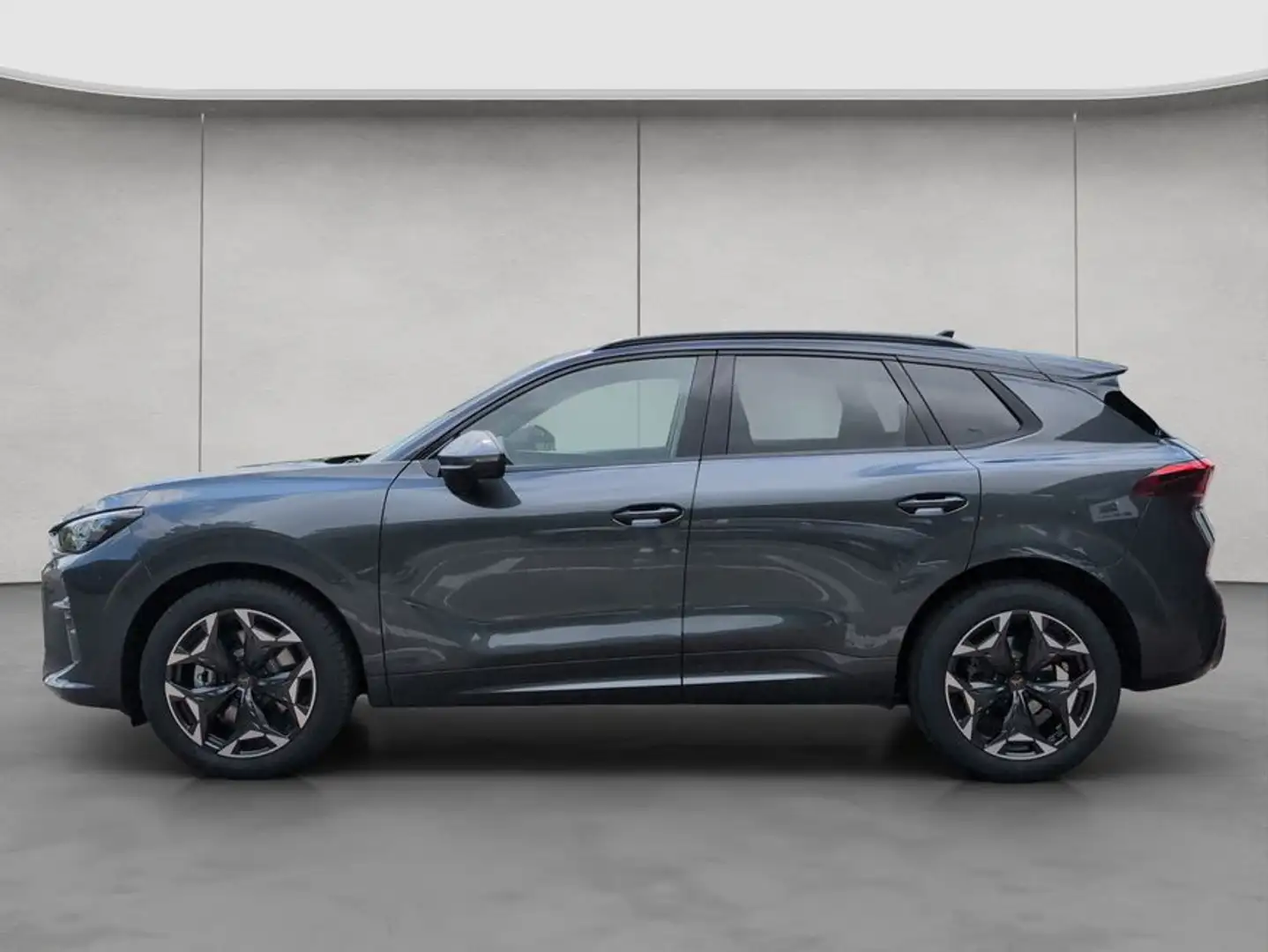 CUPRA Terramar 2.0 TSI 150 kW (204 PS) 7-Gang DSG 4Dri Grau - 2