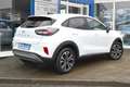 Ford Puma Puma 1,0 Titanium Navi+Sync Winter-Pack RFK+PDC LM Weiß - thumbnail 4