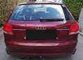 Audi A3 1.6 Ambition Rot - thumbnail 14