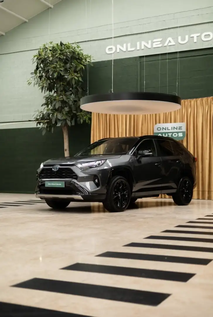 Toyota RAV 4 2.5 hybrid 2WD Luxury Grau - 2