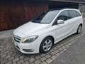 Mercedes-Benz B 200 B 200 CDI A-Edition Aut. A-Edition Weiß - thumbnail 2