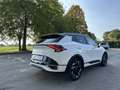 Kia Sportage 1.6 crdi mhev GT-line Plus FULL OPTIONAL TETTO PAN Bianco - thumbnail 5