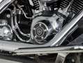 Harley-Davidson FLSTN103 Two-Tone Noir - thumbnail 9