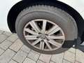 Volkswagen Golf Golf 1.6 TDI DPF 3p. Comfortline Weiß - thumbnail 9