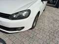 Volkswagen Golf Golf 1.6 TDI DPF 3p. Comfortline Weiß - thumbnail 19