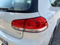 Volkswagen Golf Golf 1.6 TDI DPF 3p. Comfortline Weiß - thumbnail 14