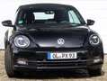 Volkswagen Beetle The Beetle Cabriolet 2.0 TSI Exclusive Sport crna - thumbnail 7