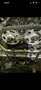 Mercedes-Benz C 220 (BlueTEC) d 7G-TRONIC AMG Line Grau - thumbnail 13