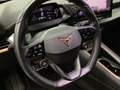 CUPRA Born 360 ALLWETTER LM19 PRIVACY SITZHZ Rot - thumbnail 9