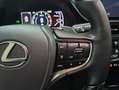 Lexus ES 300 300h Luxury Gris - thumbnail 14