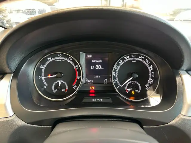 Skoda Rapid view 14