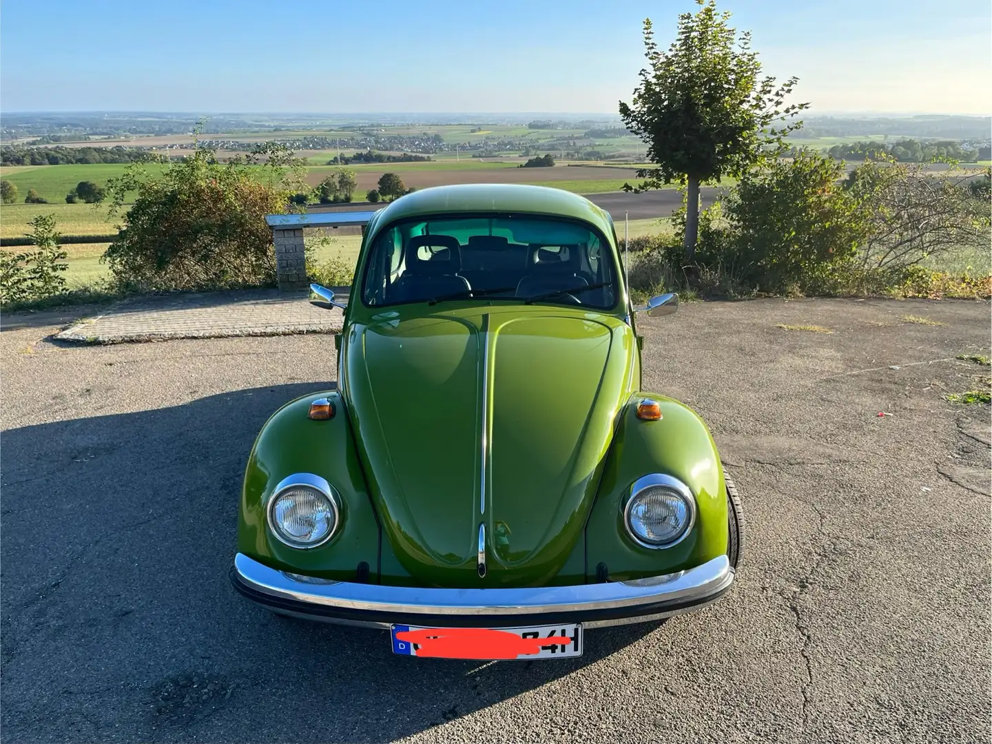 Volkswagen Käfer Verde - 2