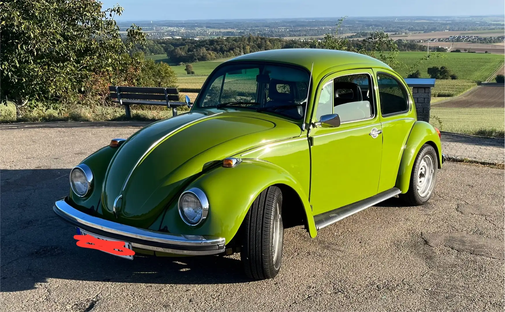 Volkswagen Käfer Verde - 1