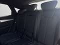 Audi Q5 S line business 55 TFSI e quattro 2 Grün - thumbnail 13