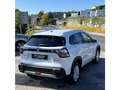 Suzuki S-Cross Allradantrieb shine Weiß - thumbnail 8