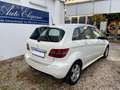 Mercedes-Benz B 180 180 CDI Autm PDC Panorama SHZ Tempomat Top ! Blanc - thumbnail 5